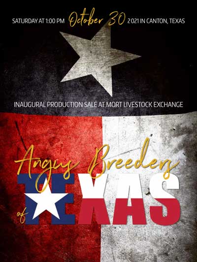 salebook cover